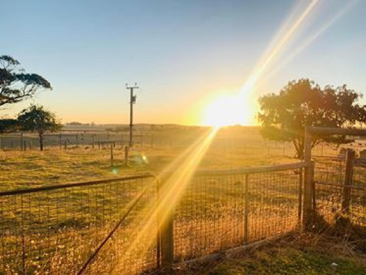 Pleasant Hill Bnb Mount Gambier Exteriér fotografie